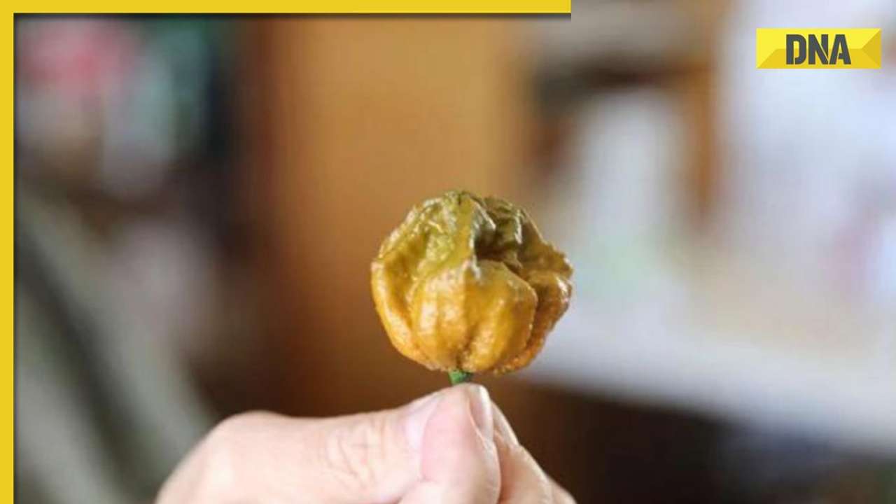 Meet Pepper X: Now The Spiciest Chilli In The World