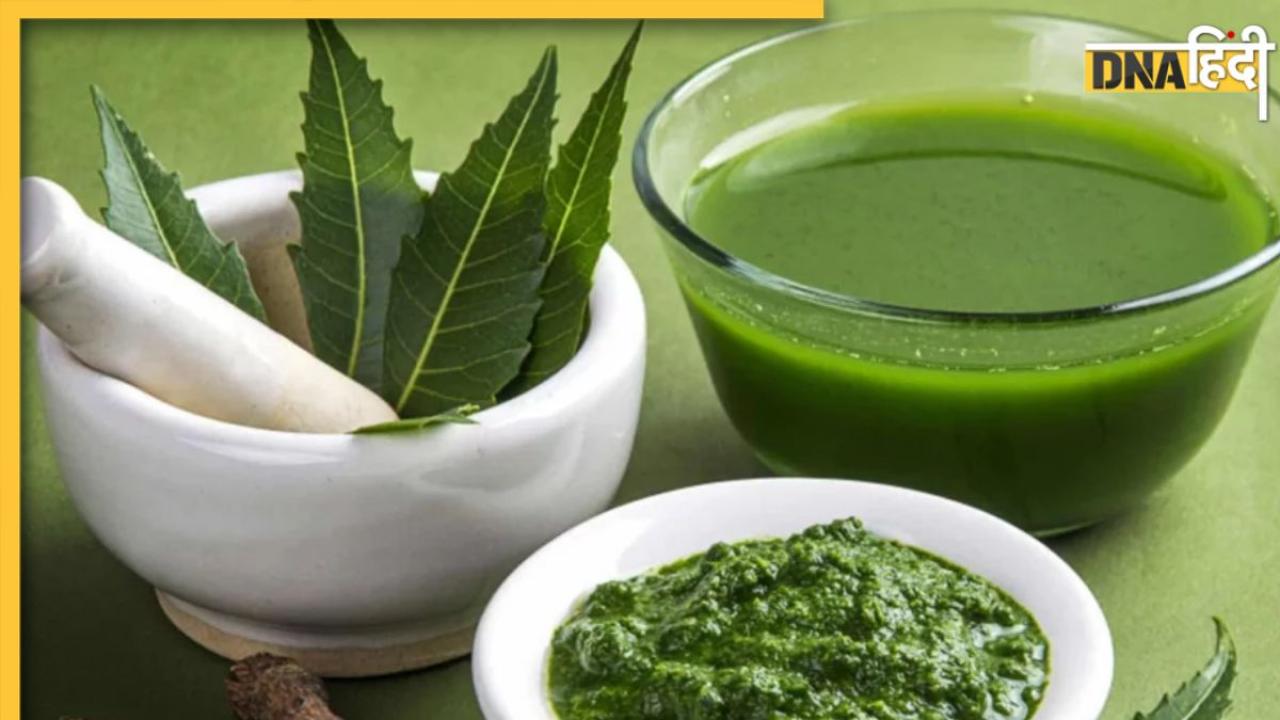 Neem Leaves Benefits: नीम के पत्तों से इन 4 समस्याओं में मिलेगी राहत, जानें कैसे करें इनका इस्तेमाल