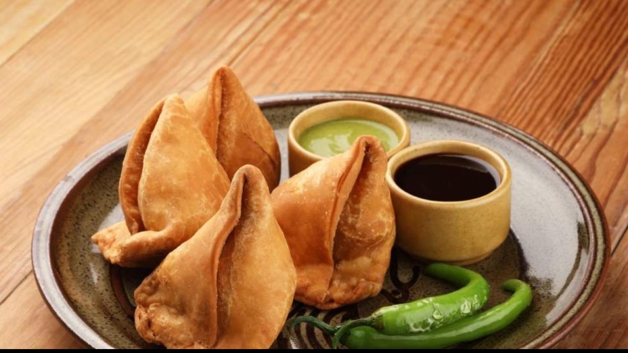 samosa business plan hindi