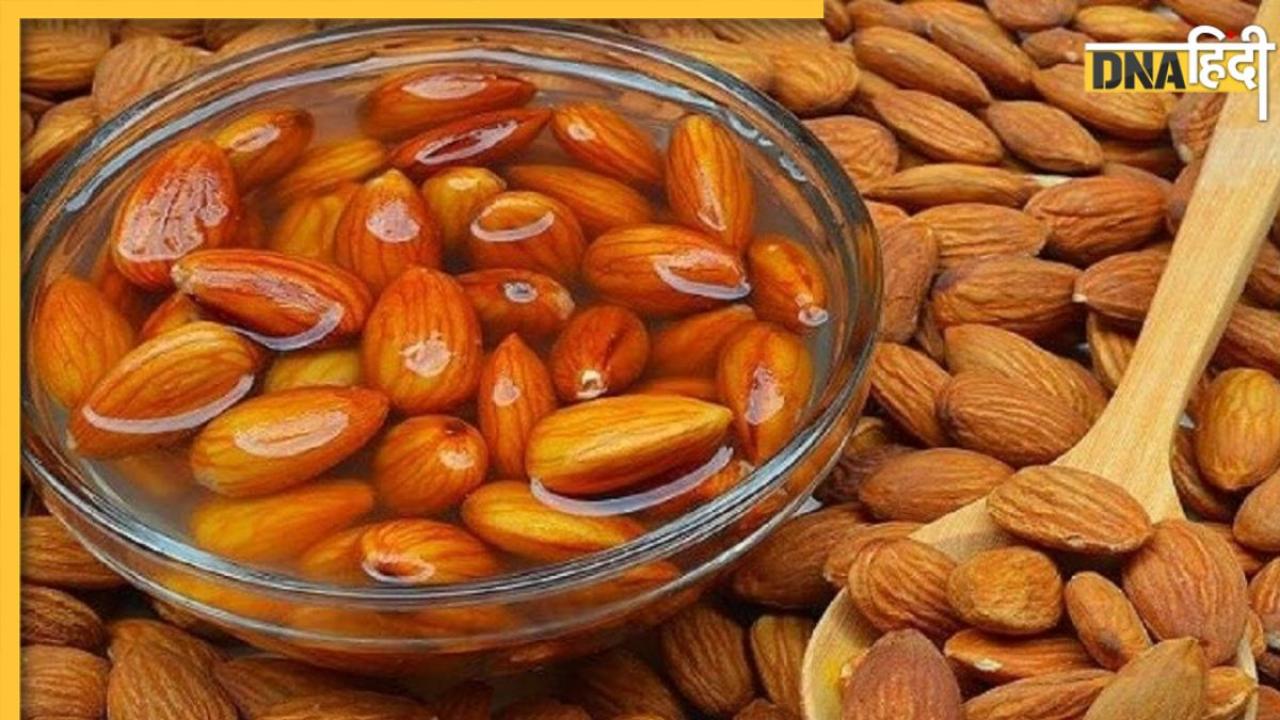 Benefits Of Soaked Almonds: भीगे बादाम खाने से मिलते हैं कई फायदे, जानें क्यों दी जाती है इन्हें भिगोकर खाने की सलाह