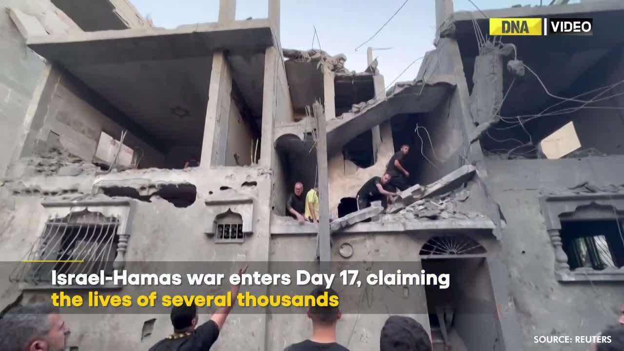 Isarel Hamas war day 18: How nature becomes a casualty of war in Gaza?