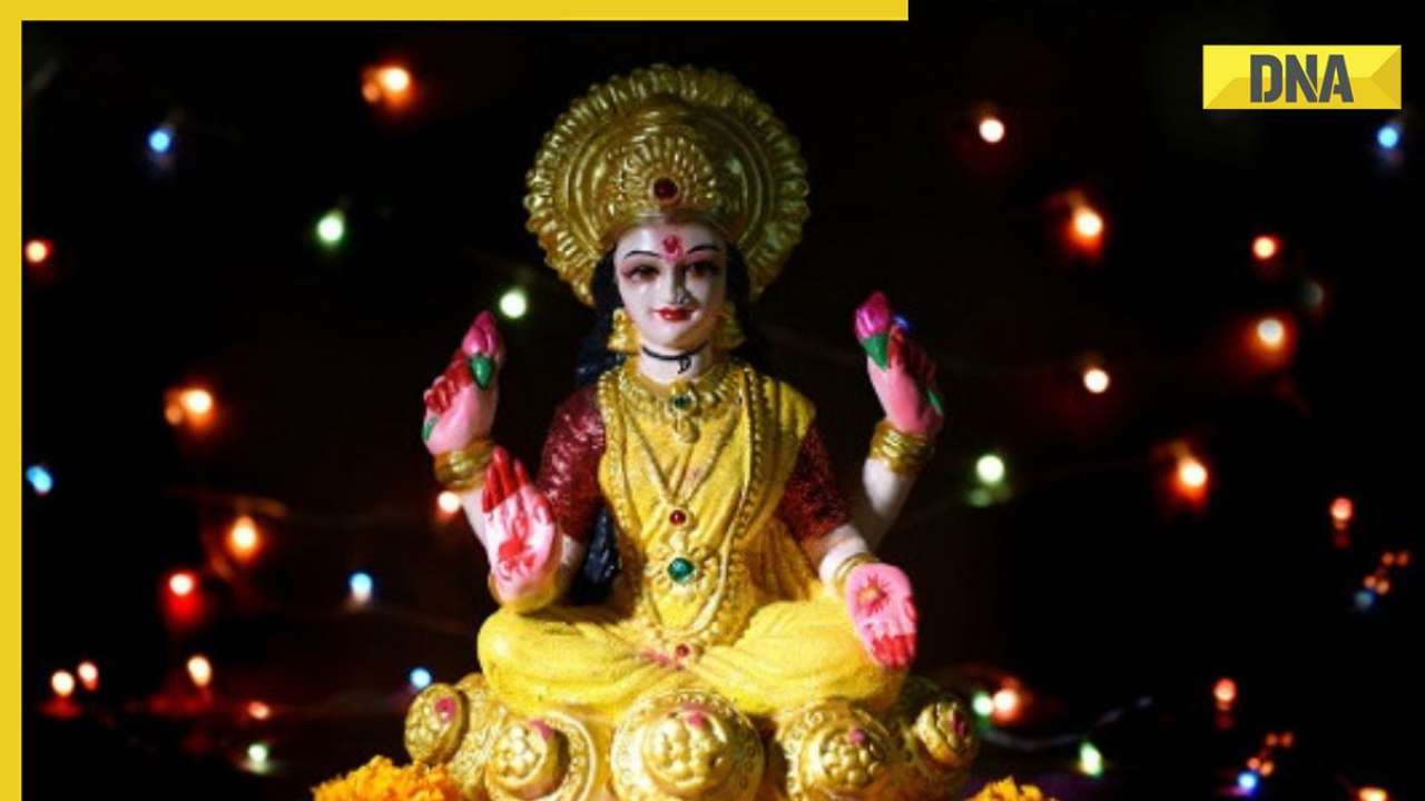 Sharad Purnima 2023 Follow These 5 Rituals To Please Goddess Lakshmi On This Day The News 3989
