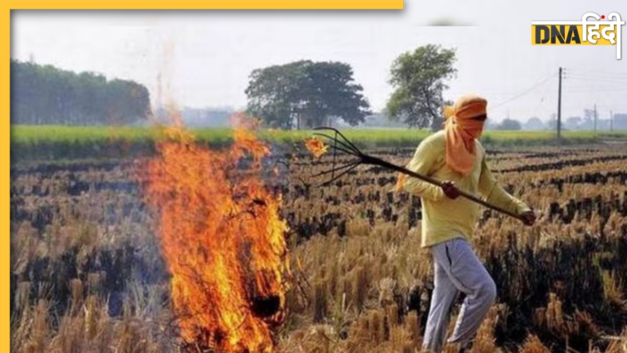 PM Kisan Yojana: पराली जलाने वाले किसान हो जायें सावधान, वरना देना पड़ सकता है जुर्माना