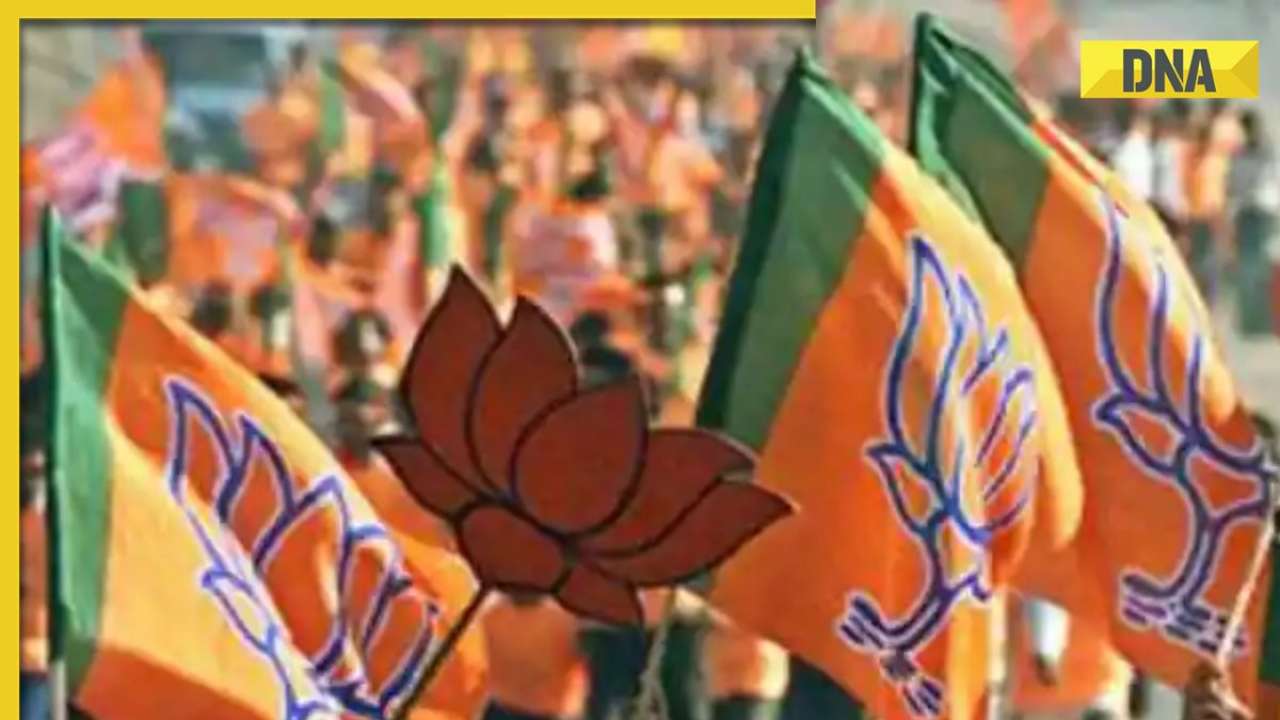 MP Elections 2023 explained 30 seats in 9 districts bordering UP, BJP