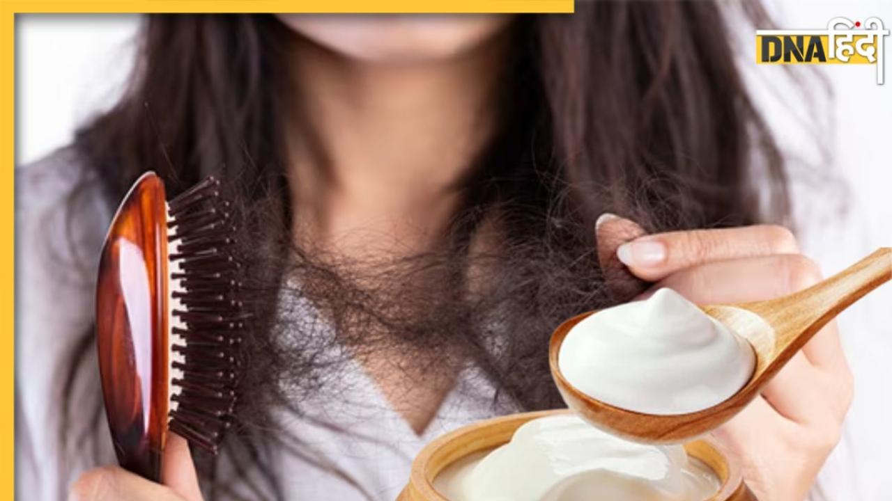 Hair Fall Remedies: तेजी से झड़ रहे बालों पर रोक लगा देगा दही का इस्तेमाल, इन चीजों को मिलाकर लगाने से होगा फायदा
