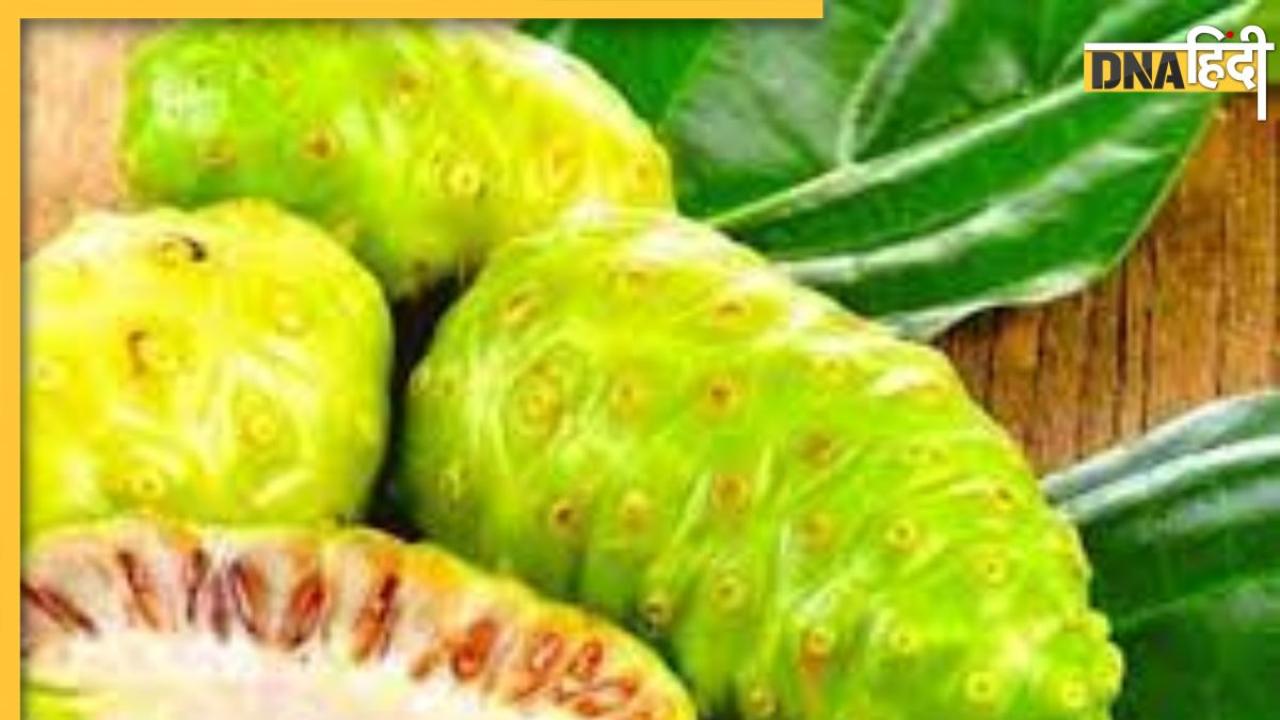 Noni Fruit For Diabetes: डायबिटीज मरीज बस 30ml पी लें इस फल का जूस, हमेशा कंट्रोल में रहेगा ब्लड शुगर