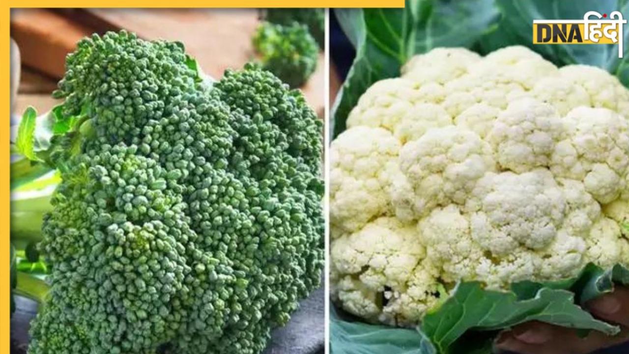 Cauliflower VS Broccoli: फूलगोभी या ब्रोकली, सेहत के लिए कौन है बेस्ट? जान लें खाने का बेस्ट तरीका क्या है