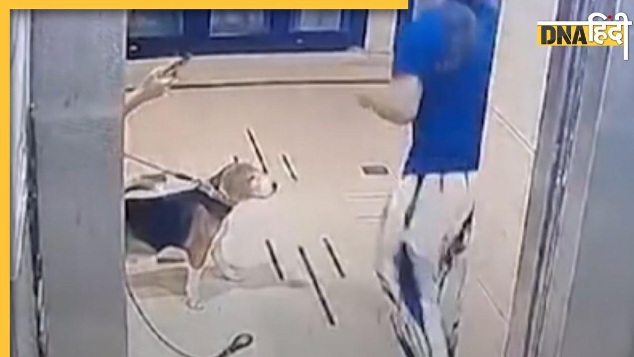 लिफ्ट में कुत्ता ले जा रही महिला पर भड़क गए रिटायर्ड IAS, सरेआम जड़ दिया थप्पड़