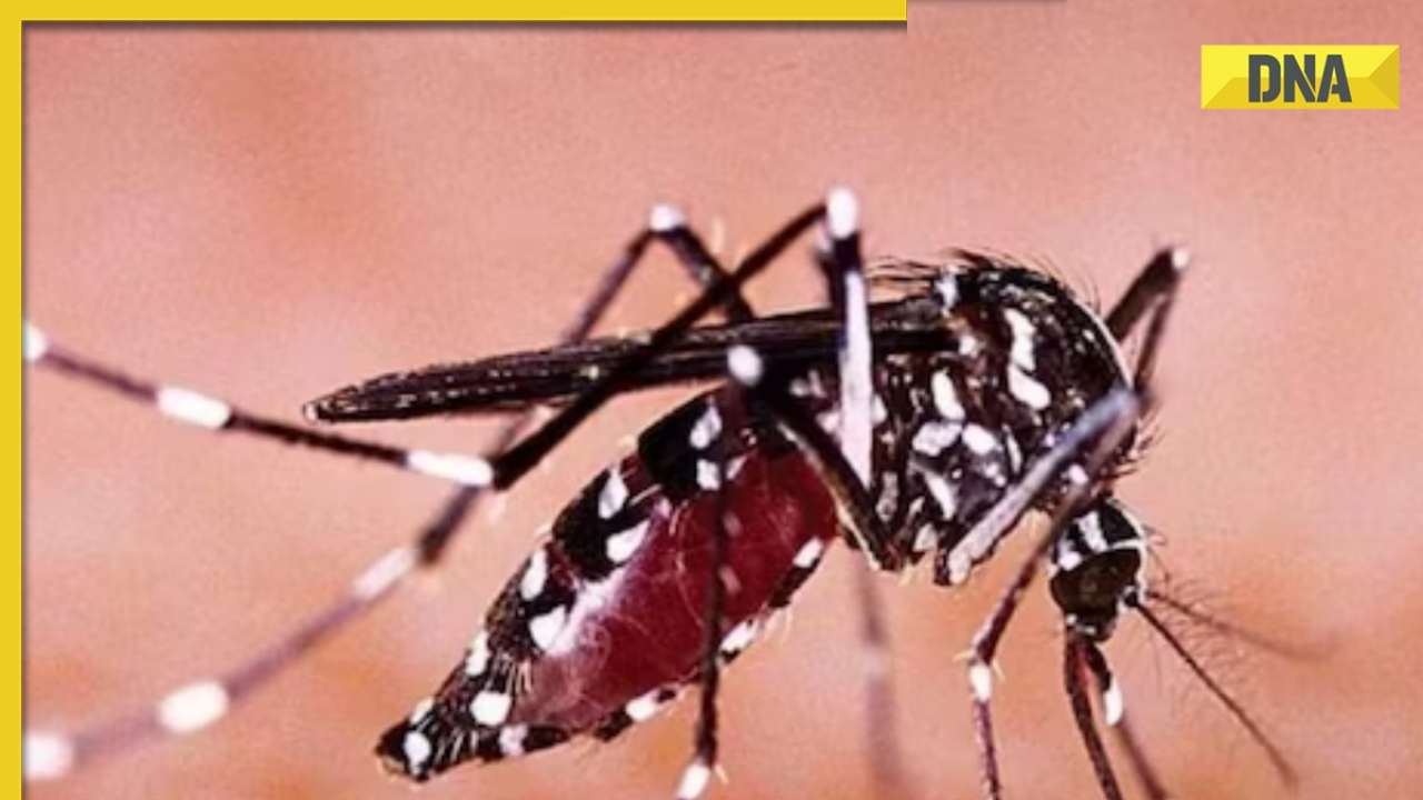 zika-virus-detected-in-mosquito-species-in-karnataka-s-chikkaballapura