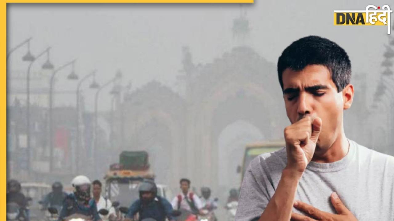 Health Tips: दिल्ली में बढ़ रहा है Air Pollution इन 5 हर्ब्स से रखें सेहत का ख्याल