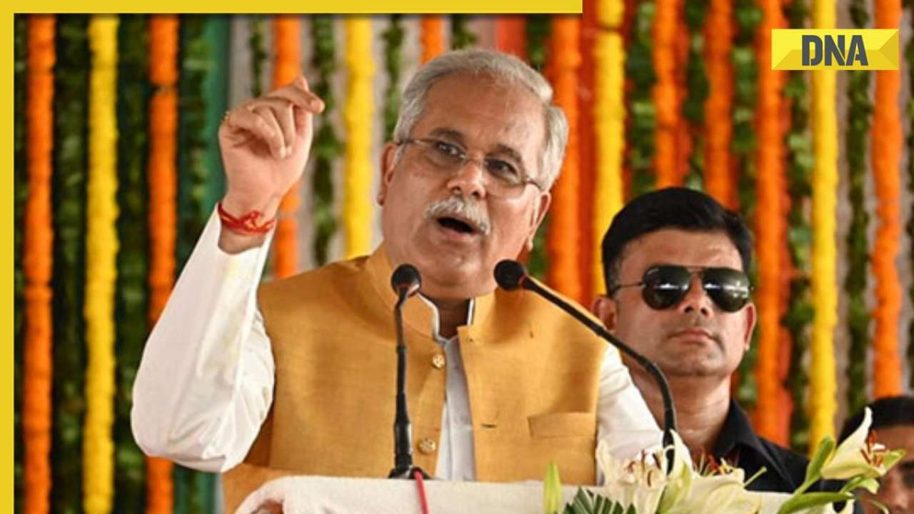 Chhattisgarh Elections Ed Claims Part Of Bjps Conspiracy To Tarnish Image Of Bhupesh Baghel