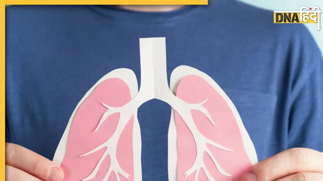 Foods For Lungs: इस मौसम में डाइट में शामिल कर लें ये 5 फूड्स, हेल्दी रहेंगे फेफड़ें और बीमारियां भी रहेंगी दूर