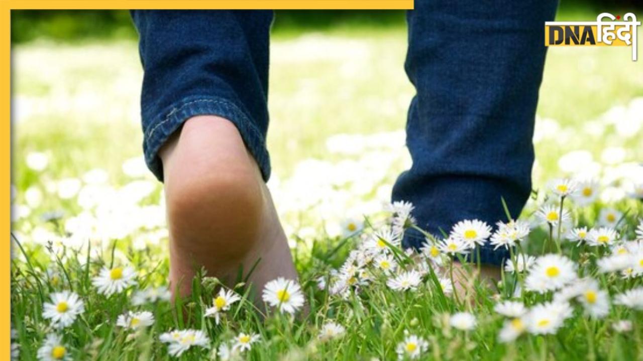 Walking On Grass Benefits: बीपी समेत इन 7 बीमारियों को रखना है दूर? सुबह नंगे पांव घास पर चलने की डाल लें आदत