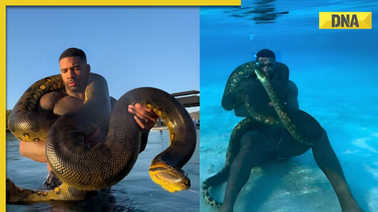 Viral video: Man's chilling underwater cuddle with massive anaconda ...