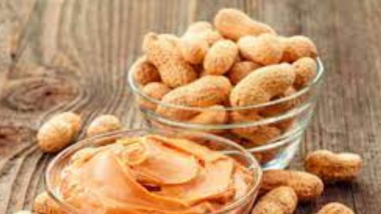 Peanuts Benefits in winter: सर्दियों की धूप में बैठकर मूंगफली खाने के हैं ये 6 फायदे, हड्डियों से लेकर स्किन तक होगी चकाचक