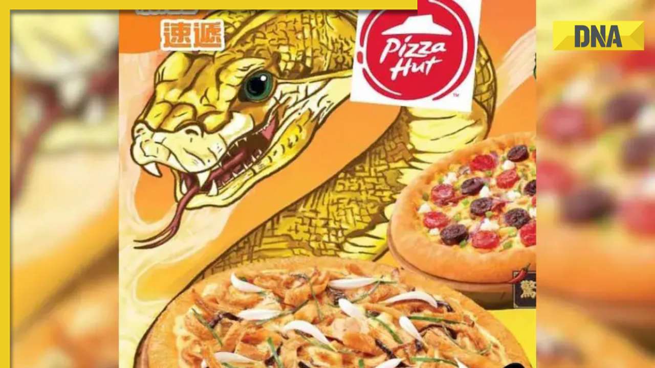 Hong kong eatery's menu raises eyebrows with addition of snakes on pizza, details here