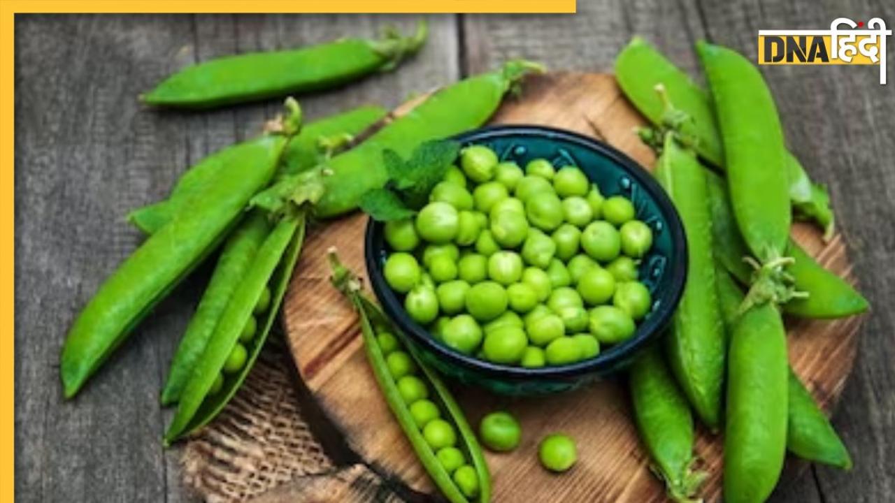 High Uric Acid Causes: इस हरी सब्जी का सेवन जाम कर देगा शरीर के जॉइंट, खतरनाक लेवल पर पहुंच जाएगा यूरिक एसिड 