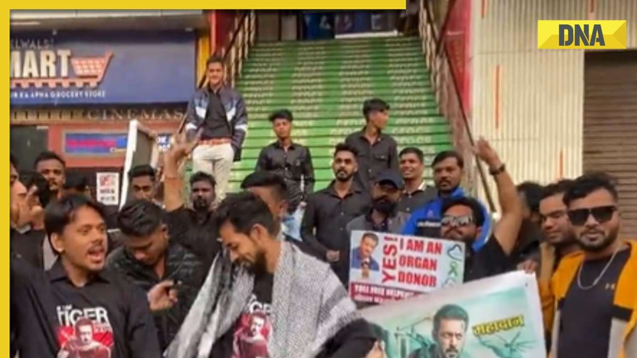 Salman Khan fans celebrate Diwali outside cinema halls screening Tiger 3, theatres erupt at those starry cameos