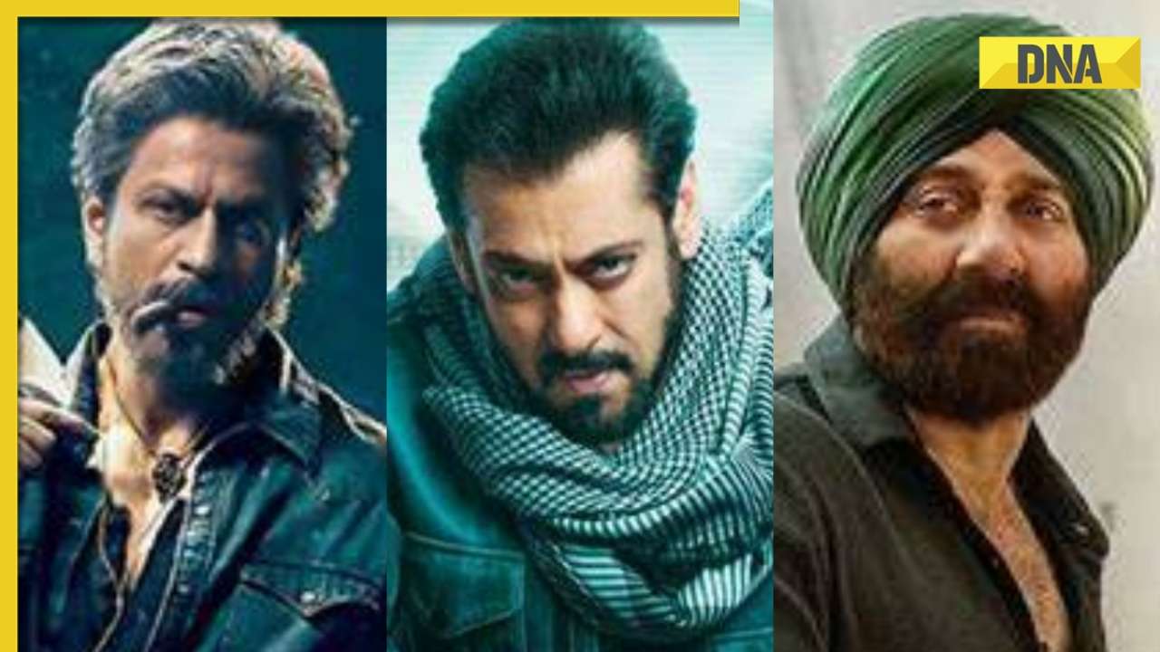 Tiger 3 box office collection day 2: Salman Khan film beats Jawan, Gadar 2's second day hauls; crosses Rs 100 crore
