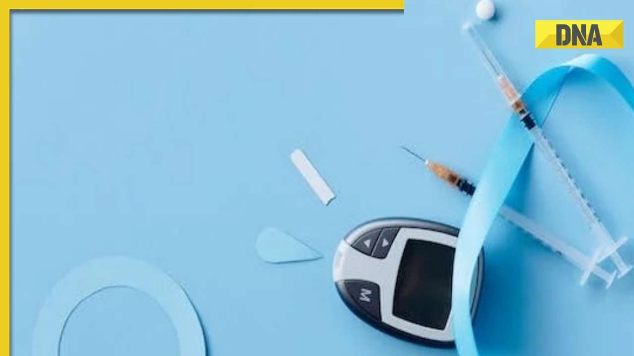 World Diabetes Day 2023 theme, significance: Key differences between Type 1 and Type 2 Diabetes