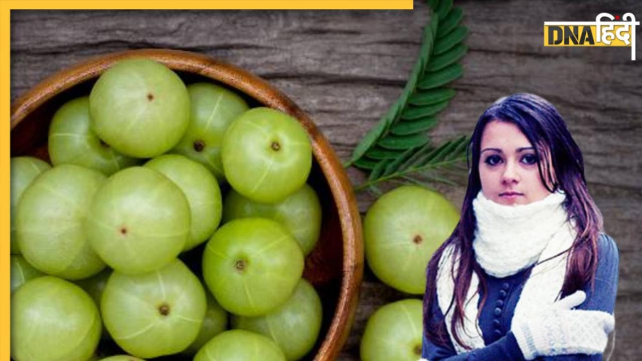 Amla Benefits In Winter: सर्दियों में आंवला को बनाएं डाइट का हिस्सा, रोज एक आंवला खाने से मिलेंगे कई फायदे