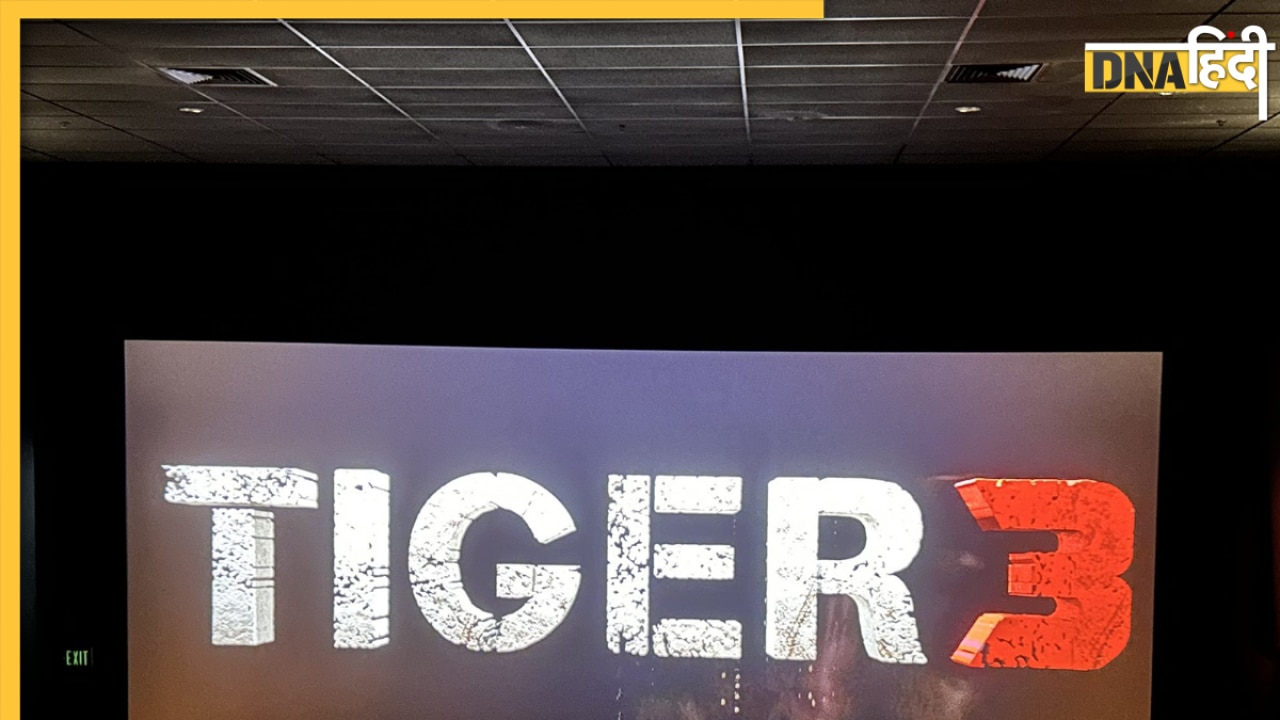Tiger 3 Collection: बॉक्स ऑफिस पर टाइगर की दहाड़ जारी, Salman Khan की फिल्म ने तोड़े कई रिकॉर्ड