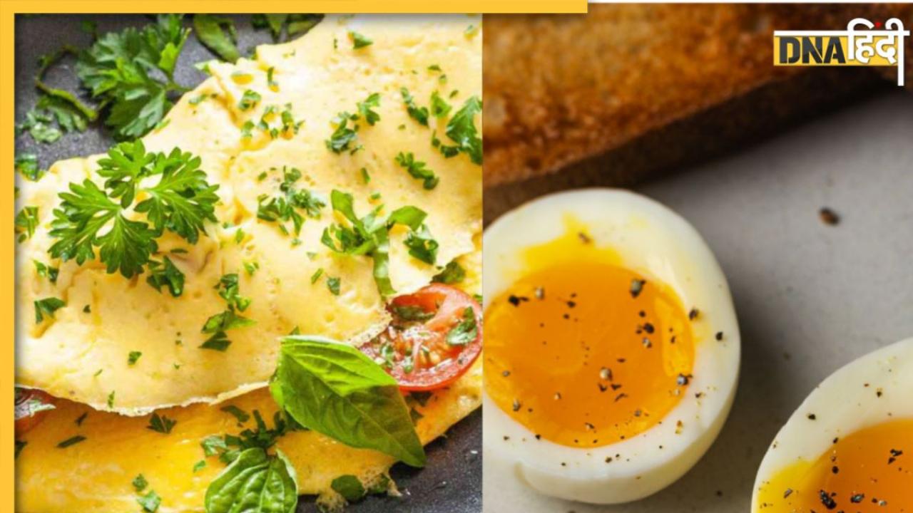 Boiled Egg vs Omelette: उबला अंडा या आमलेट क्या है ज्यादा फायदेमंद? यहां जाने अंडे का फंडा तभी मिलेगा पूरा फायदा