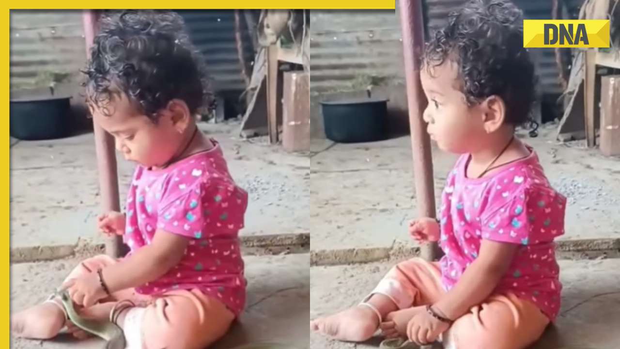 Toddler plays fearlessly with snake, viral video ignites online debate