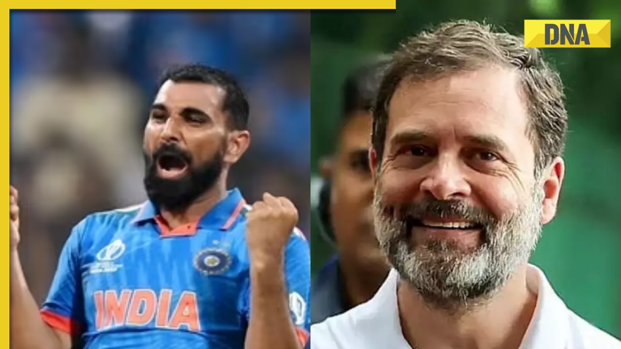 'Shami we are with you': Rahul Gandhi's tweet from 2021 supporting Shami goes viral after India's win in World Cup