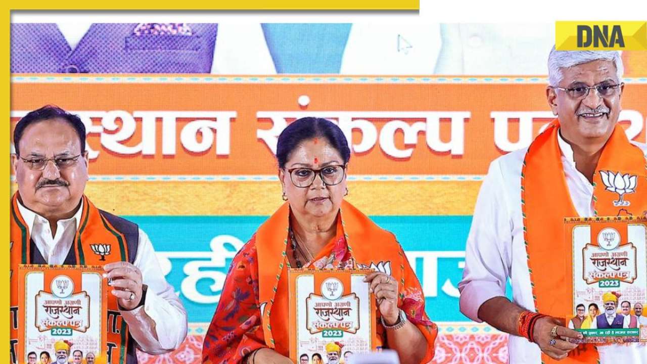BJP releases its manifesto for Rajasthan election 