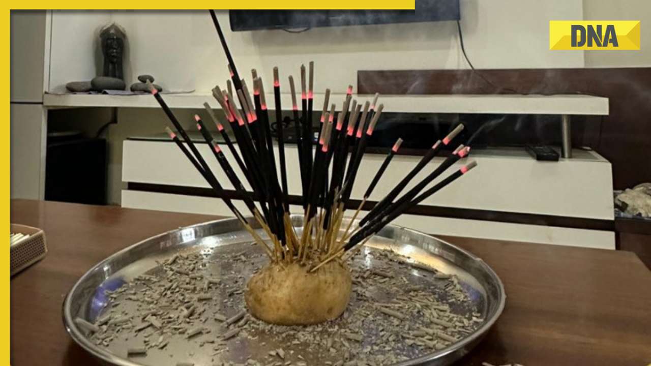 World Cup 2023: Man orders 240 incense sticks on Swiggy to 'manifest' India's win
