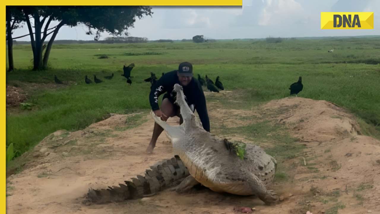 Brave or foolish? Man's daring stunt with giant crocodile leaves netizens in shock, watch