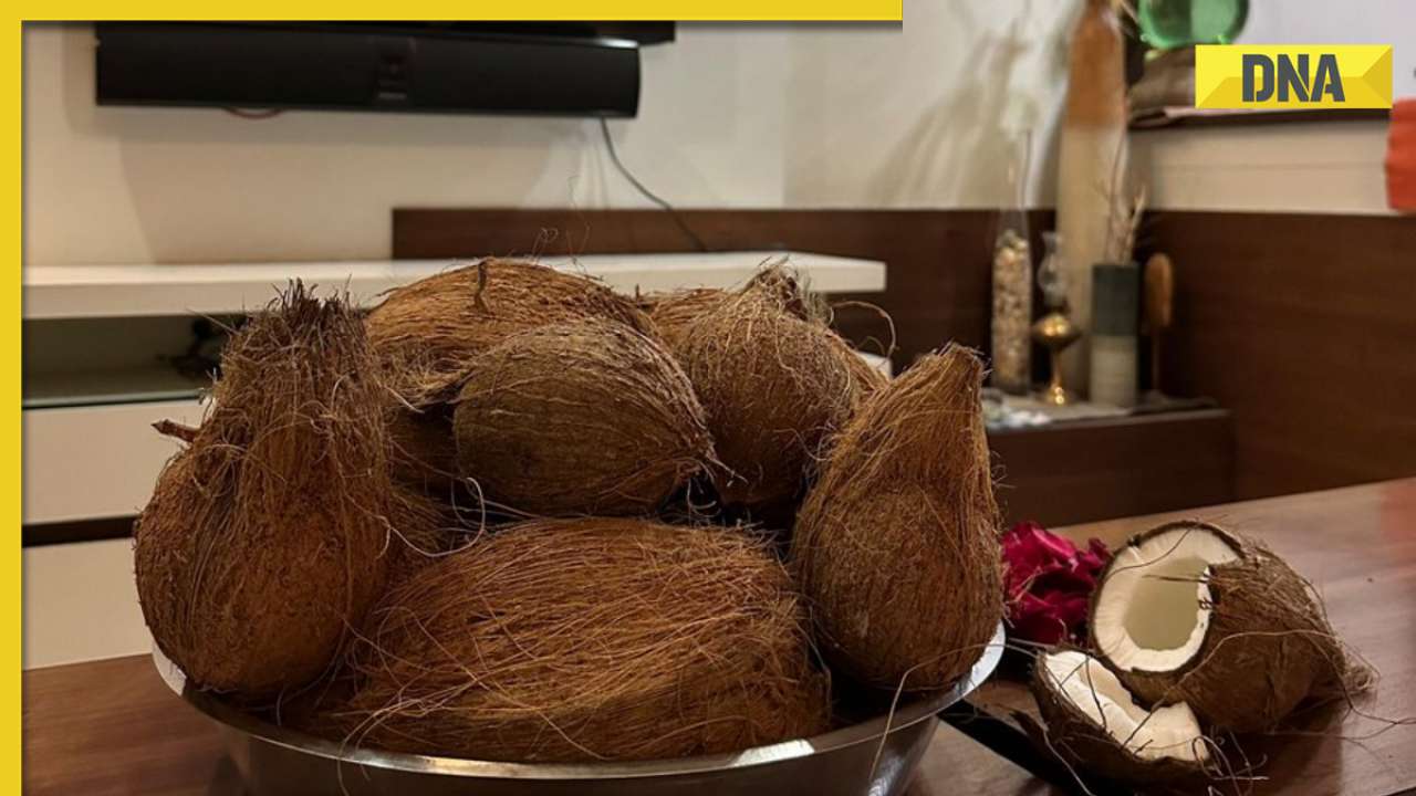 Thane man orders 51 coconuts from Swiggy to manifest India's world cup triumph