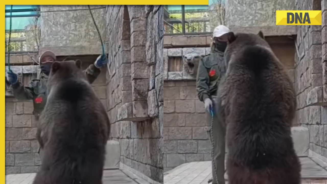 Unbelievable twist: Bear joins skipping session with girl, video is viral
