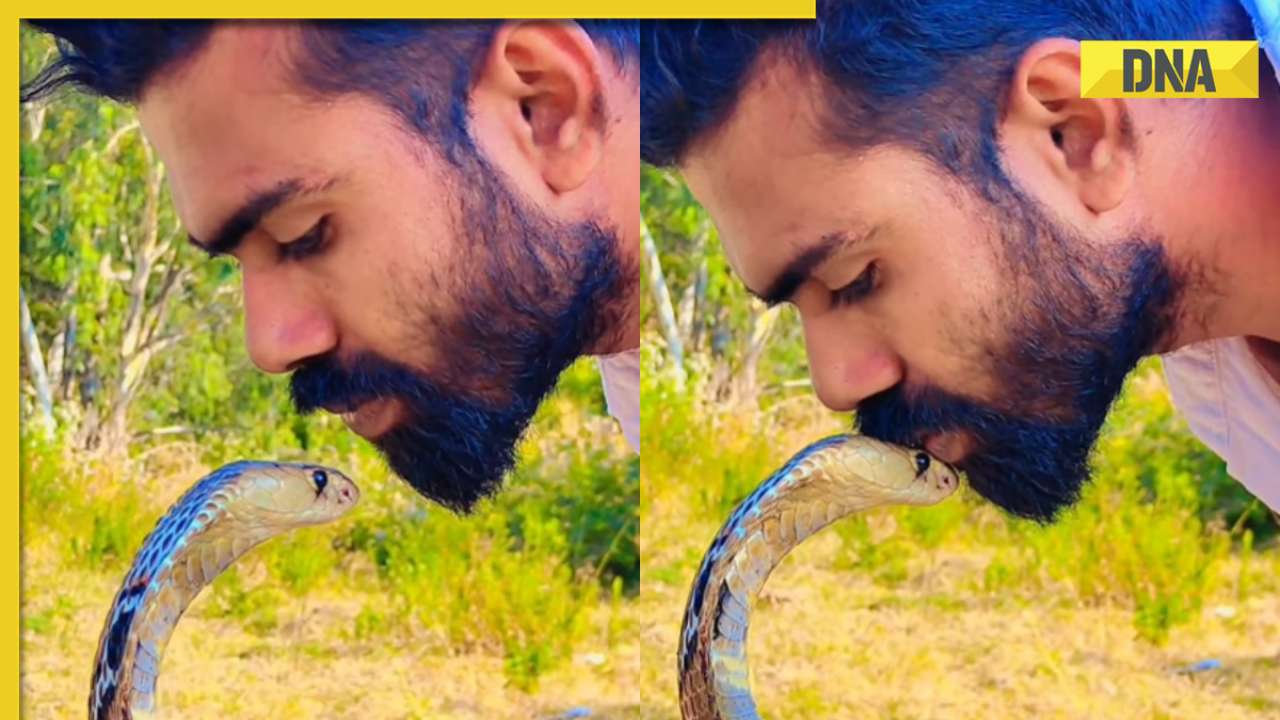 Viral video: Man's audacious kiss on king cobra's head stuns the internet, watch
