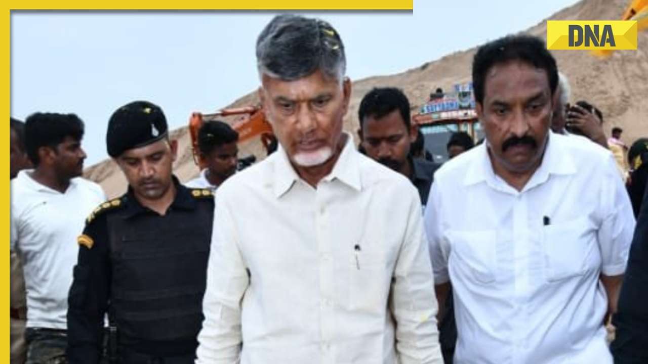 TDP chief Chandrababu Naidu granted bail in Skill Development case