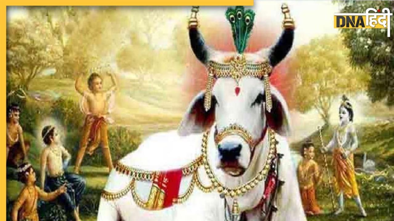 Gopashtami 2023 Upay: आज गोपाष्टमी पर कर लें ये 5 आसान से काम, भगवान श्री कृष्ण की होगी कृपा, दूर हो जाएंगे सभी कष्ट