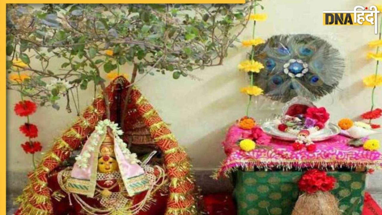 Tulsi Vivah: 24 नवंबर को है तुलसी-शालिग्राम का विवाह, जानिए वैवाहिक रस्म की पूरी विधि और शुभ मुहूर्त