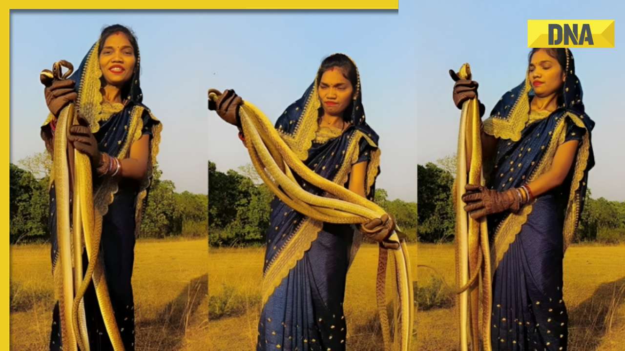 Daring woman in saree grabs dozens of snakes, viral video leaves internet shocked