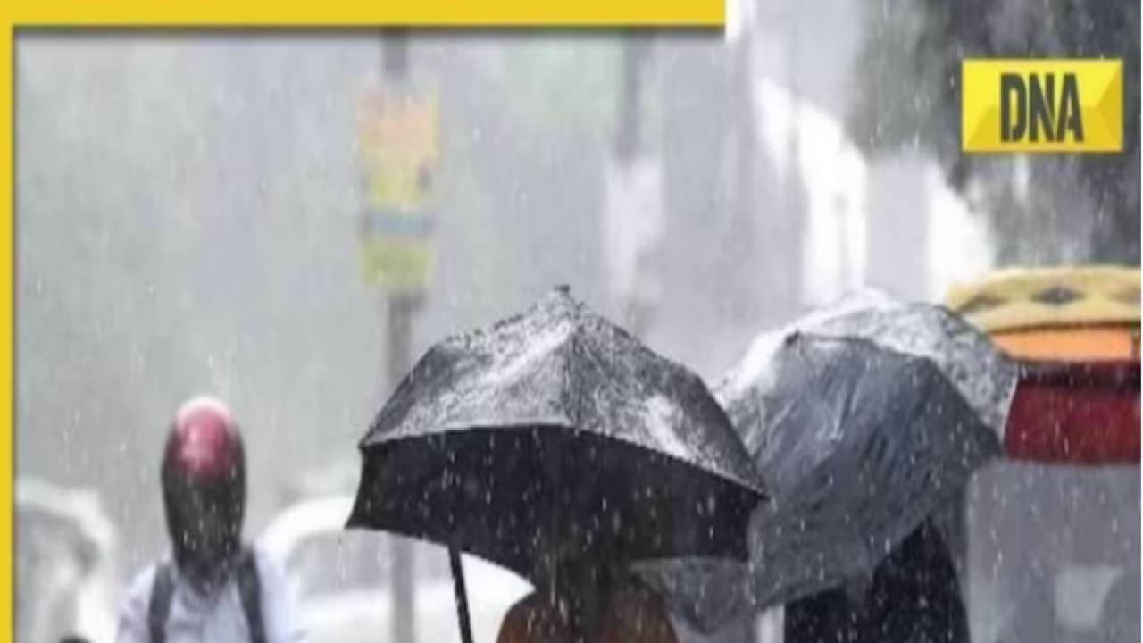 IMD Weather update: Heavy rainfall predicted in these states from November 25; yellow alert issued