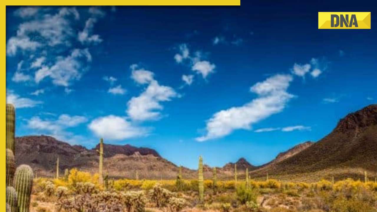 Group ends up stranded in desert after taking Google Maps 'shortcut'
