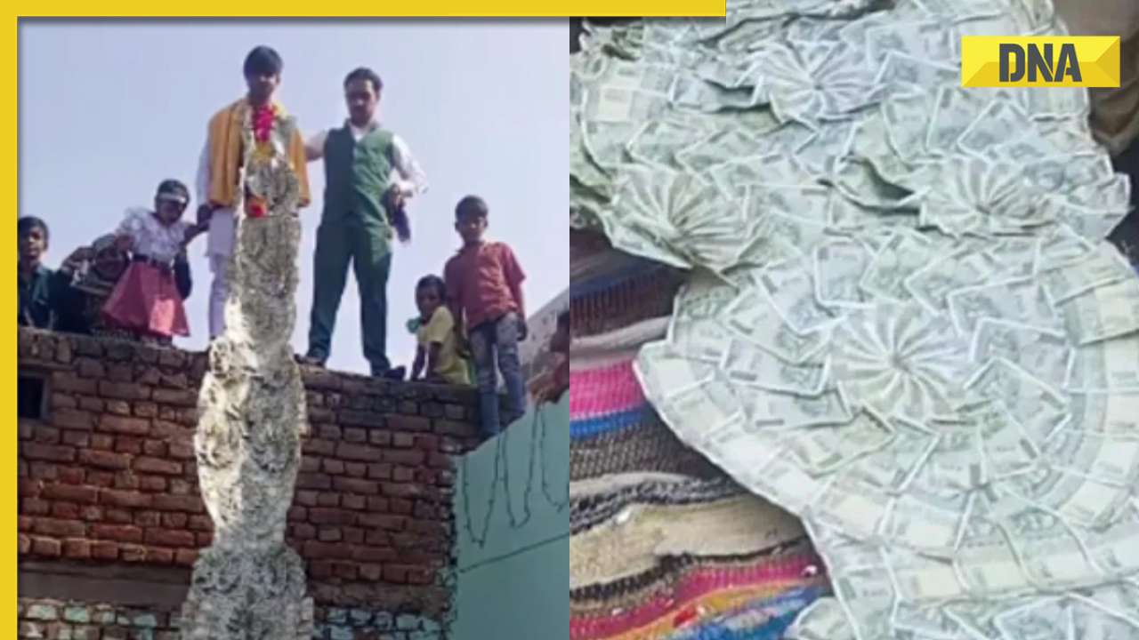 Viral video: Groom stuns social media with lavish Rs 20 lakh currency note garland at wedding