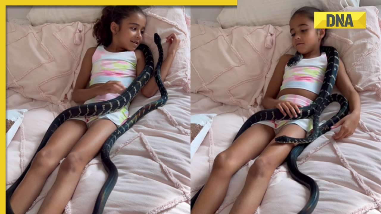 Little girl sleeps peacefully surrounded by giant snakes, scary video goes viral