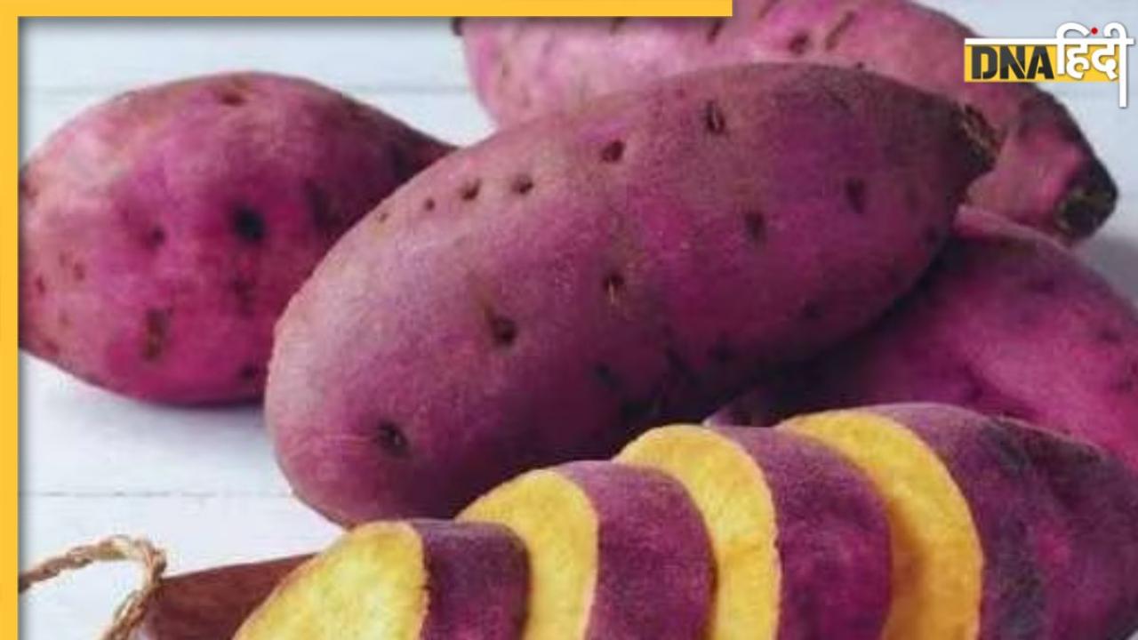 Sweet Potato Benefits: डायबिटीज से बीपी तक, सर्दियों में शकरकंद खाने से दूर रहती हैं ये 5 गंभीर बीमारियां