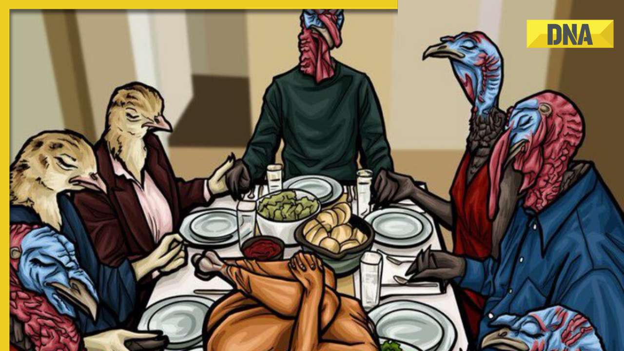 PETA's Thanksgiving post goes viral as Turkeys portrayed as humans, ignites online debate