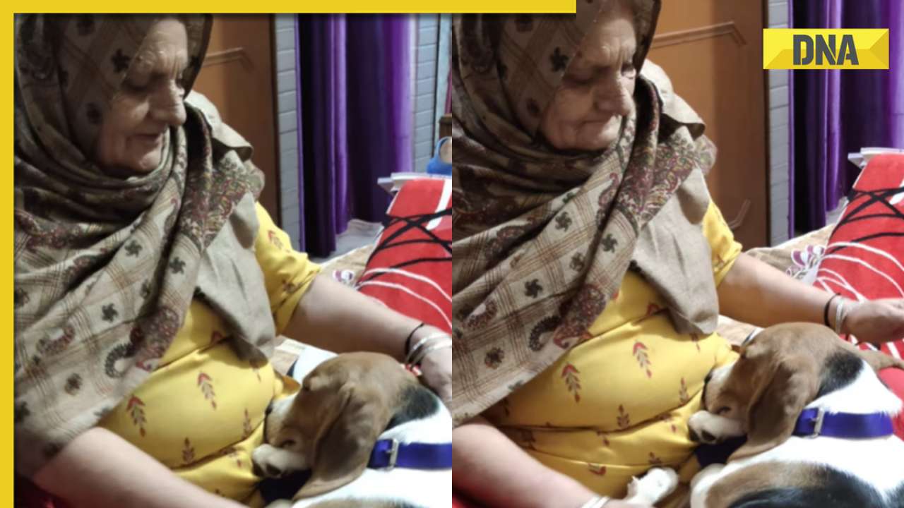 Viral video: Elderly woman comforts adorable dog after a little scolding, internet can't help but go aww