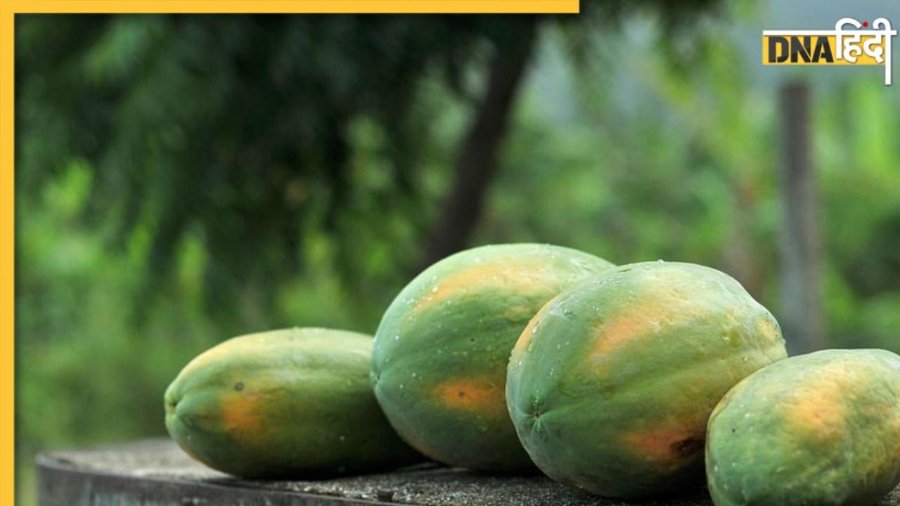 Raw Papaya Benefits: सेहत के लिए गुणकारी होता है कच्चा हरा पपीता, इससे मिलेंगे ये 5 बड़े फायदे