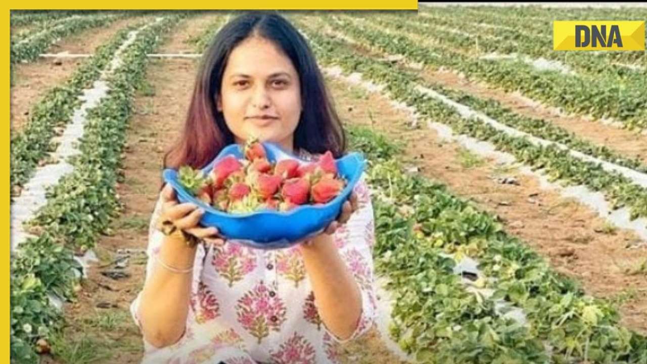 Meet Gurleen Chawla, law graduate who grows strawberry on barren land, now earns...