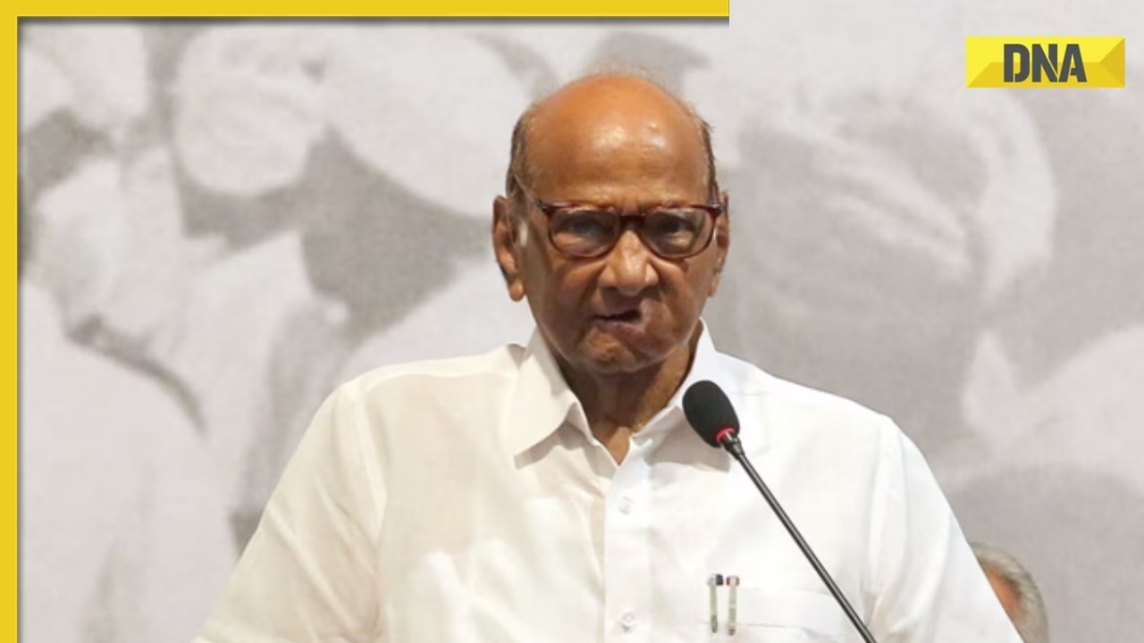 Assembly Election Results 2023: NCP chief Sharad Pawar assures results won't have impact on INDIA bloc