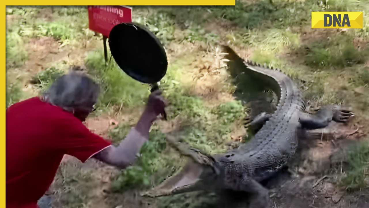 Elderly man fends off crocodile attack using frying pan, video goes viral
